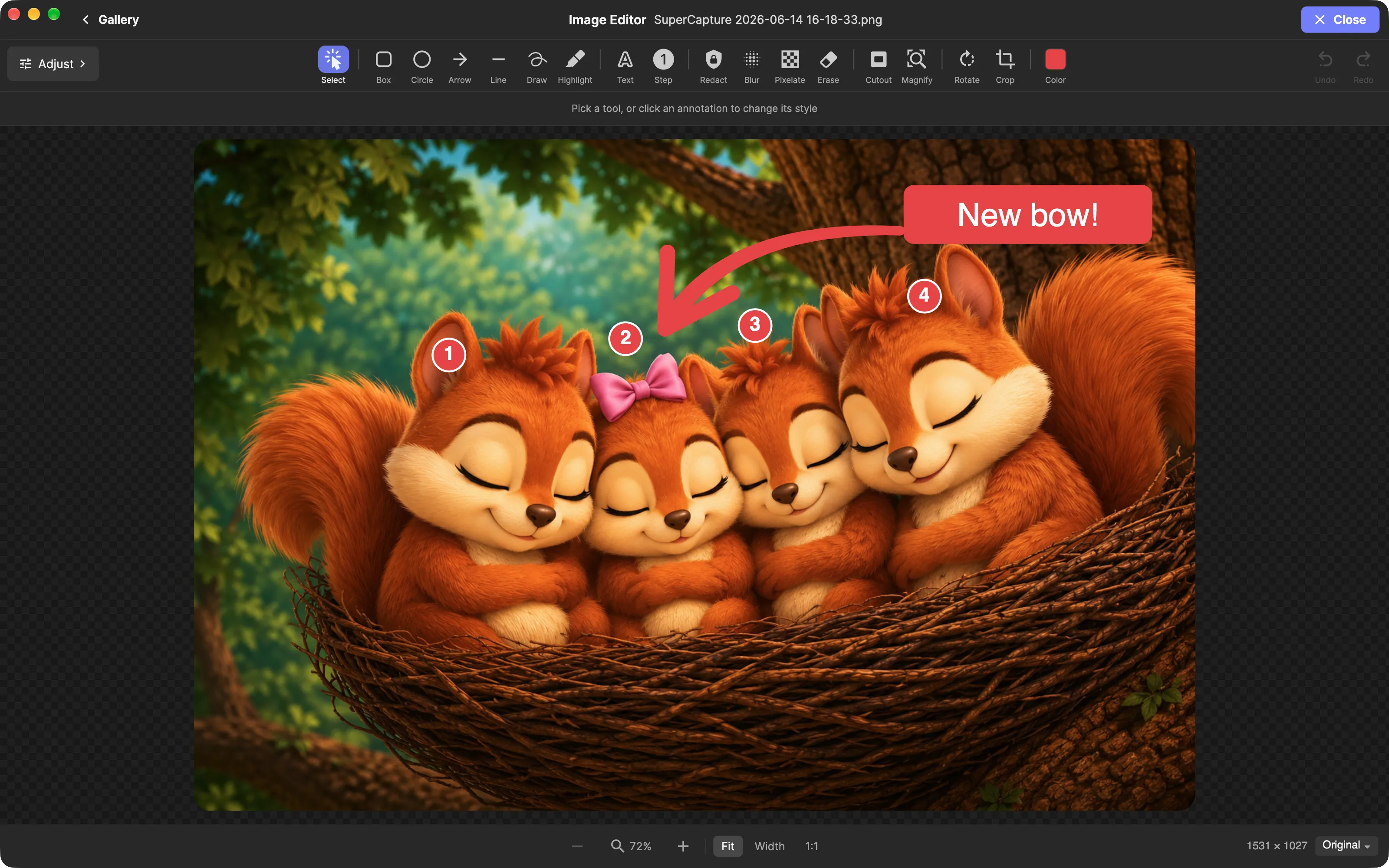SuperCapture image editor with numbered steps, a curved arrow and a “New bow!” label on a photo of four sleeping squirrels